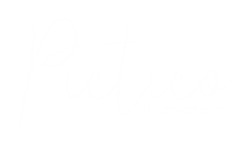 pictico-logo